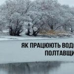 Почему окунь поднялся под самый лед и игнорирует приманки у дна в яркий солнечный день?