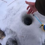 Плотва подходит к лунке и сразу уходит: причина, о которой редко задумываются