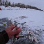 Чому мормишка “чортік” перестала працювати? Виправляємо гру однією деталлю