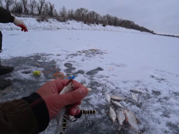 Київська область: плітка й окунь клюють краще за інших – де саме шукати активність на водоймах зараз