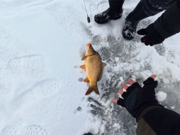 Короп узимку не клює: простий прийом, який оживляє лунку