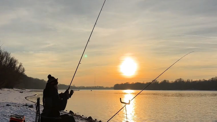 На Дунаї після шторму зловили першу трофейну плітку року