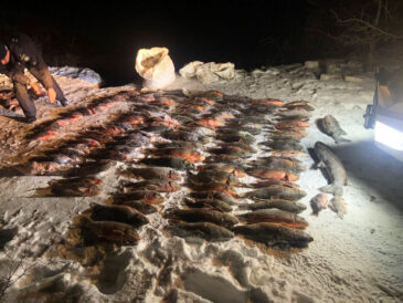 На льду Днепра задержали браконьеров с рекордным уловом — 420 кг рыбы