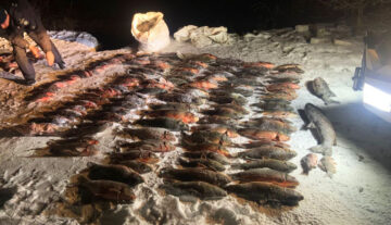 Рекордний улов на льоду Дніпра: у браконьєрів вилучили 420 кг риби на 532 тис. грн