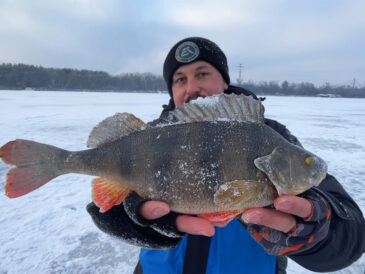 Окунь на Десенці при -18: безмотилка спрацювала, жерлиці здивували