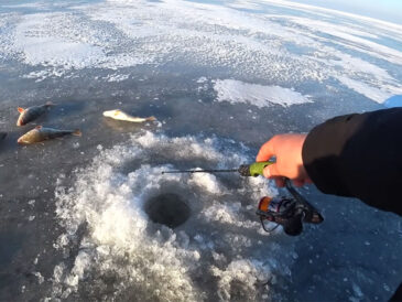 Отказ окуня от балансиров в глухозимье: техника донного стука для активации клева