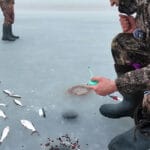 Запрет на вылов щуки в Украине: какие штрафы грозят рыбакам с февраля 2026 года