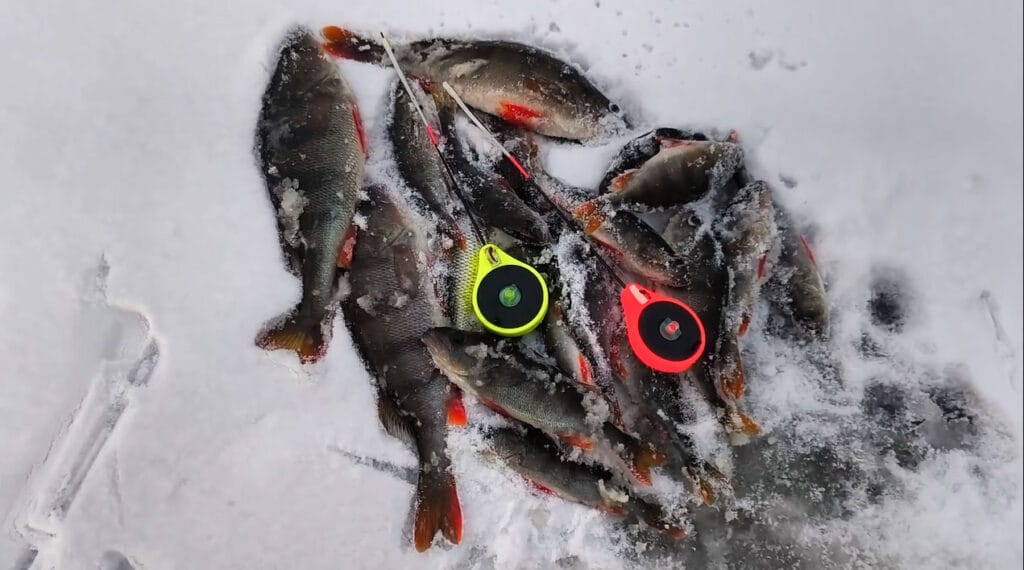 Первый лед на Десне: окунь вышел после обеда