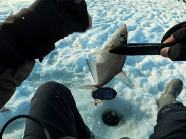 Зимова риболовля і мороз: пластиковий ліпгрип зберігає руки сухими