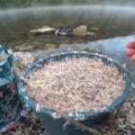 Рыба игнорирует насадку: «гирлянда» возвращает поклевки