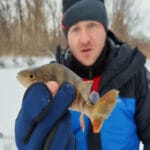 Первый лед на Десне: окунь вышел после обеда и клев резко сместился