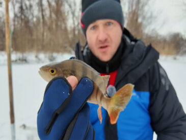 Псел сьогодні: по першоліддю окунь клював уранці, але вдень різко замовк