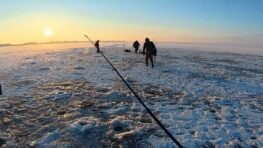Риба поруч, а клювання немає - що відбувається під льодом наприкінці січня