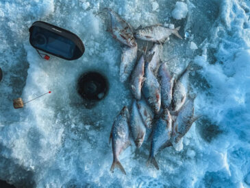 ФОТО. Поездка на Киевское море обернулась неожиданным сценарием