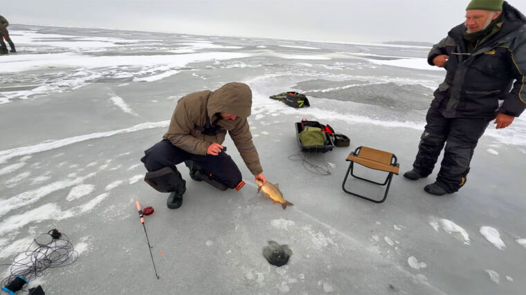 Сазан на Дніпрі 2026: де тримаються трофеї та чи варто виходити на тонку кригу