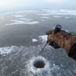 Гирлянда на Десне: первый лед и неожиданный трофей сезона