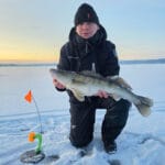 Рыба игнорирует насадку: «гирлянда» возвращает поклевки