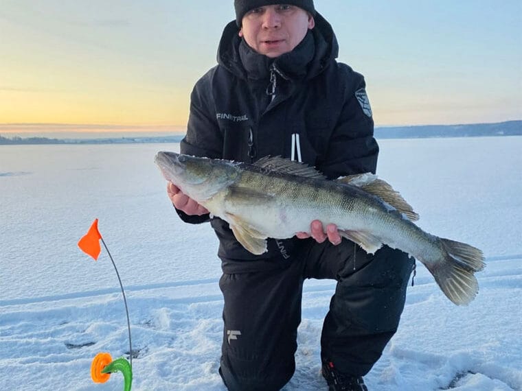 ФОТО. Судак на Днепре удивил даже опытных рыболовов