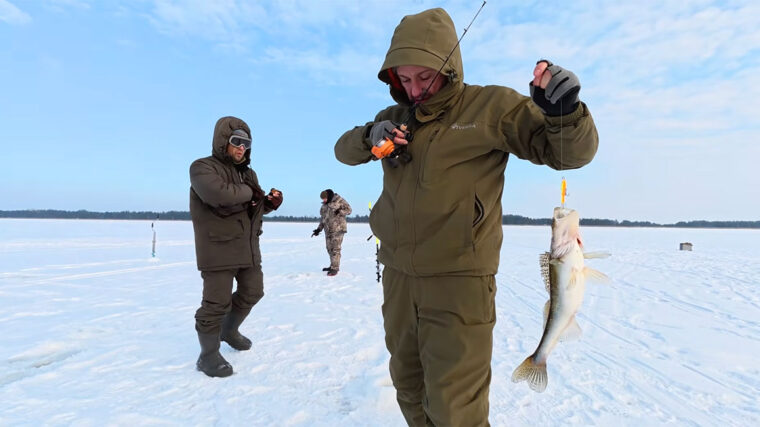 Що відбувається на водоймах: судак змістився глибше звичних горизонтів