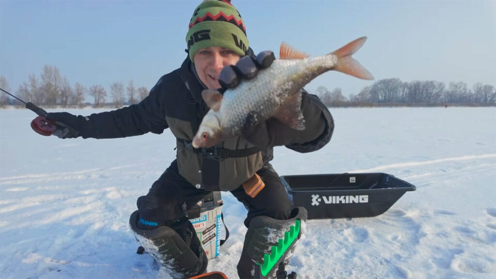 Трофейна плітка на Десні