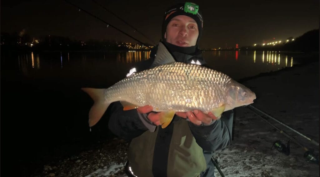 Трофейна плітка вийшла ввечері на Дунаї