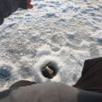 Відмова окуня від балансирів у глухозим’ї: техніка донного стуку для активації клювання