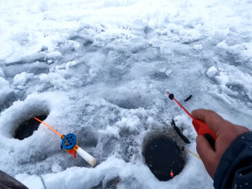 Як підгодовувати рибу взимку – що працює на першому льоду та в глухозим’я?