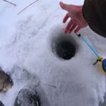 Плітка підходить до лунки і відразу йде: причина, про яку рідко замислюються