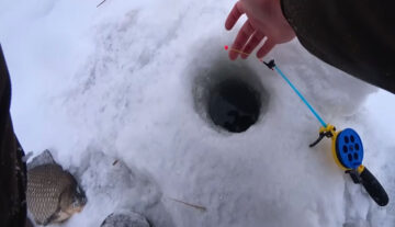 Як змусити рибу клювати на мормишку взимку