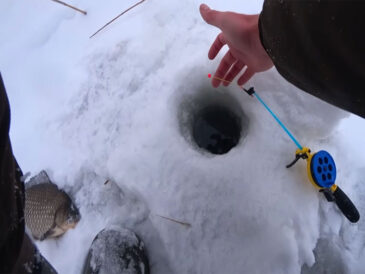 Мормишка є, гра правильна, а клювань немає: що варто змінити першим