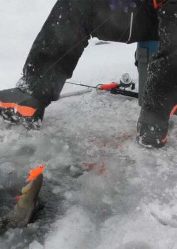 Як знайти активні лунки взимку - лайфхаки для успішної риболовлі