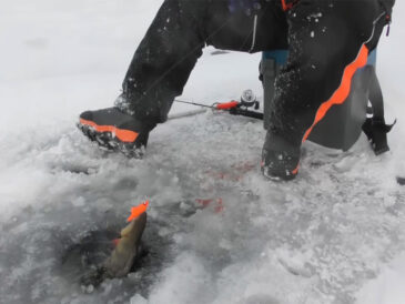 Як обрати активну лунку вранці та ввечері взимку – простий спосіб збільшити клювання прямо зараз