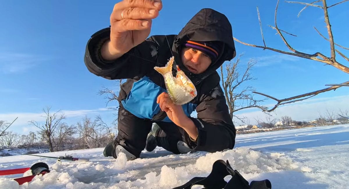 Зимняя рыбалка на разливах Ирпеня 2026: где искать окуня и плотву за 2 часа