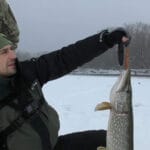 Почему плотва на течении внезапно «выключает» безмотылку и берет только мотыля?