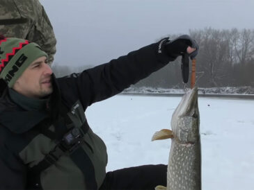 Щука на Десне в январе 2026: трофей 4 кг и рабочая тактика жерлиц на течении