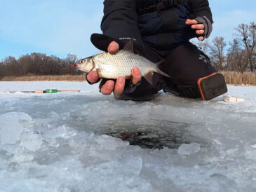 Дикі затоки Дніпра 2026: куди не доїжджають рибалки і чому там жор