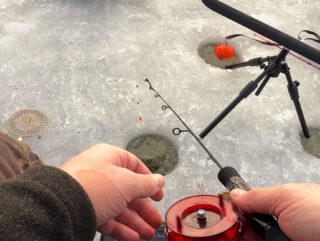 Зимовий фідер на Десні при -12°C: течія зриває годівниці, клювання майже немає