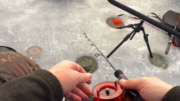 Зимовий фідер на Десні при -12°C: течія зриває годівниці, клювання майже немає