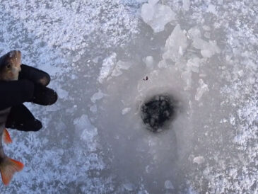 Перший вихід на затоки Дніпра 2026: де відгукнувся окунь у сильний мороз