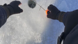 Експерт пояснив, чому вранці риба стоїть на точці, але не реагує на приманку