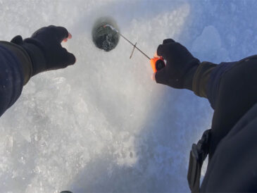 Експерт пояснив, чому вранці риба стоїть на точці, але не реагує на приманку