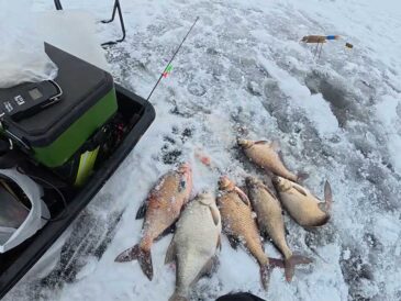 Флюорокарбон для мормышки часто мешает клеву: когда обычная леска работает лучше