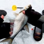 Эхолот показывает рыбу, но клева нет: почему прибор вас не обманывает