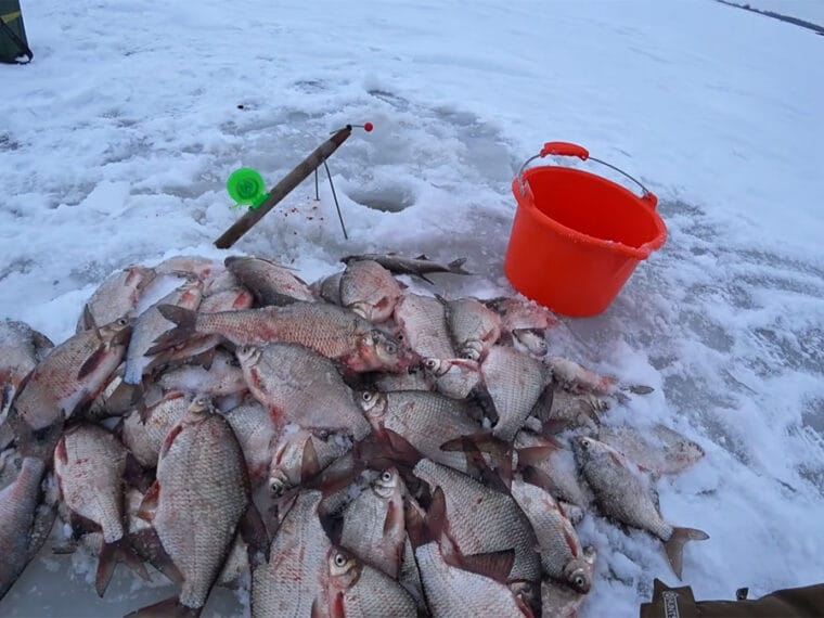 Как собрать всю рыбу под своей лункой без дорогих прикормок