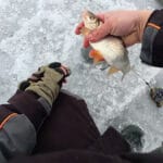 Ноги останутся теплыми на льду даже в -20: дедовская хитрость с обычной фольгой и газетой