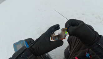 2 оборота - пауза 4 секунды: как заставить окуня брать балансир в глухозимье