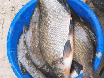 Календарь рыбака на март 2026 года в Украине: когда и где ожидать лучший клев рыбы