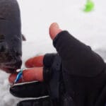 Лящ стоїть вище дна й не реагує на підгодовування: прийом, який дозволяє його перехопити