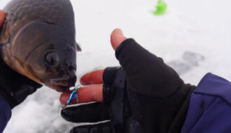 Карась атакував балансир у глухозим’я на Київському морі