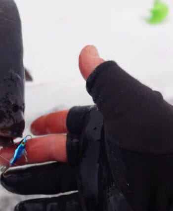 Карась атаковал балансир в глухозимье на Киевском море